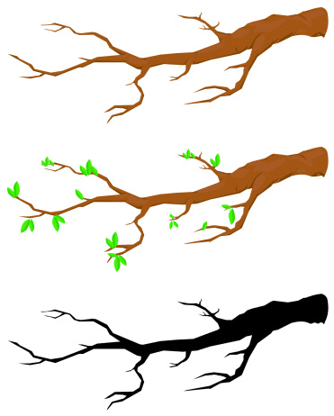 Branch Bare Tree Twig Silhouette Clip Art, Vector Images ...