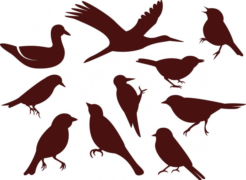425 views Simple birds silhouette vector set | Free download