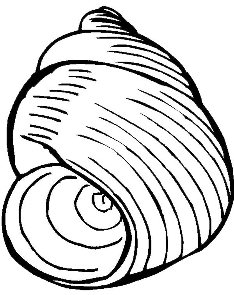 Printable Seashell Coloring Pages | Coloring Me