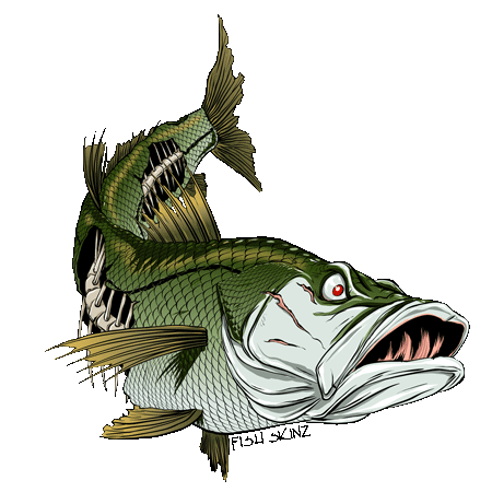 fish skinz decals clipart best fish skinz decals clipart best