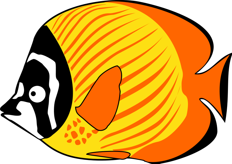 Yellow-orange Fish Cartoon Clipart