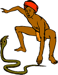 Snake Charmer Gif