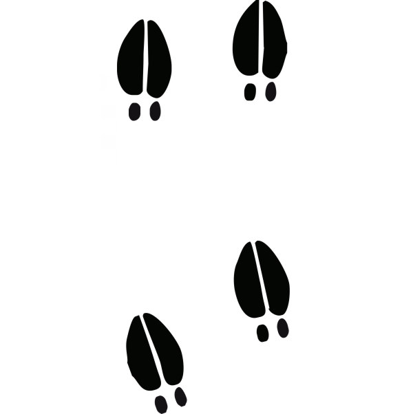 free deer tracks clipart - photo #7