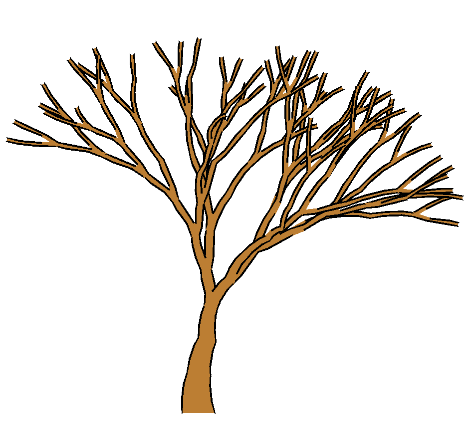 Cartoon Tree Outline Bare - ClipArt Best