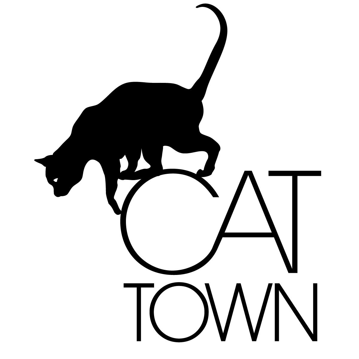 Cat Town | Petfinder.