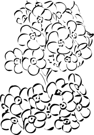 Forget Me Not Drawing - ClipArt Best