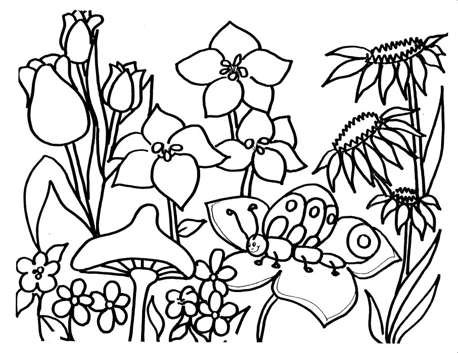 Catepillar Flowers Coloring Pages - Flowers Coloring Pages ...
