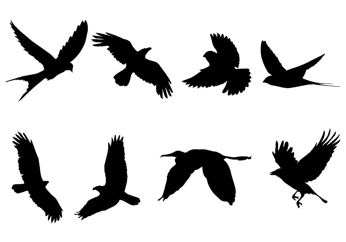 Bird Free Vector Art - (13853 Free Downloads)