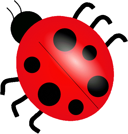 cartoon ladybug 