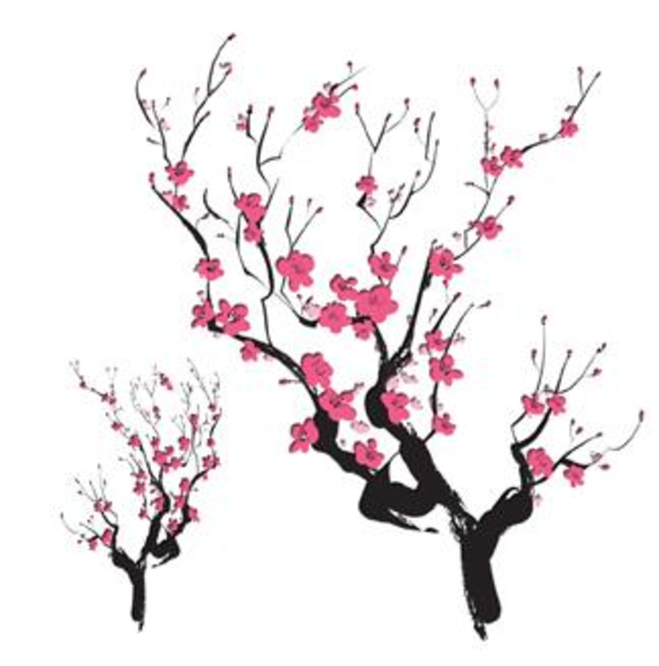 Cherry Blossoms Clipart