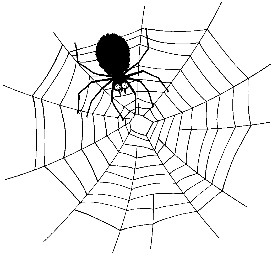 Cartoon Spiderweb