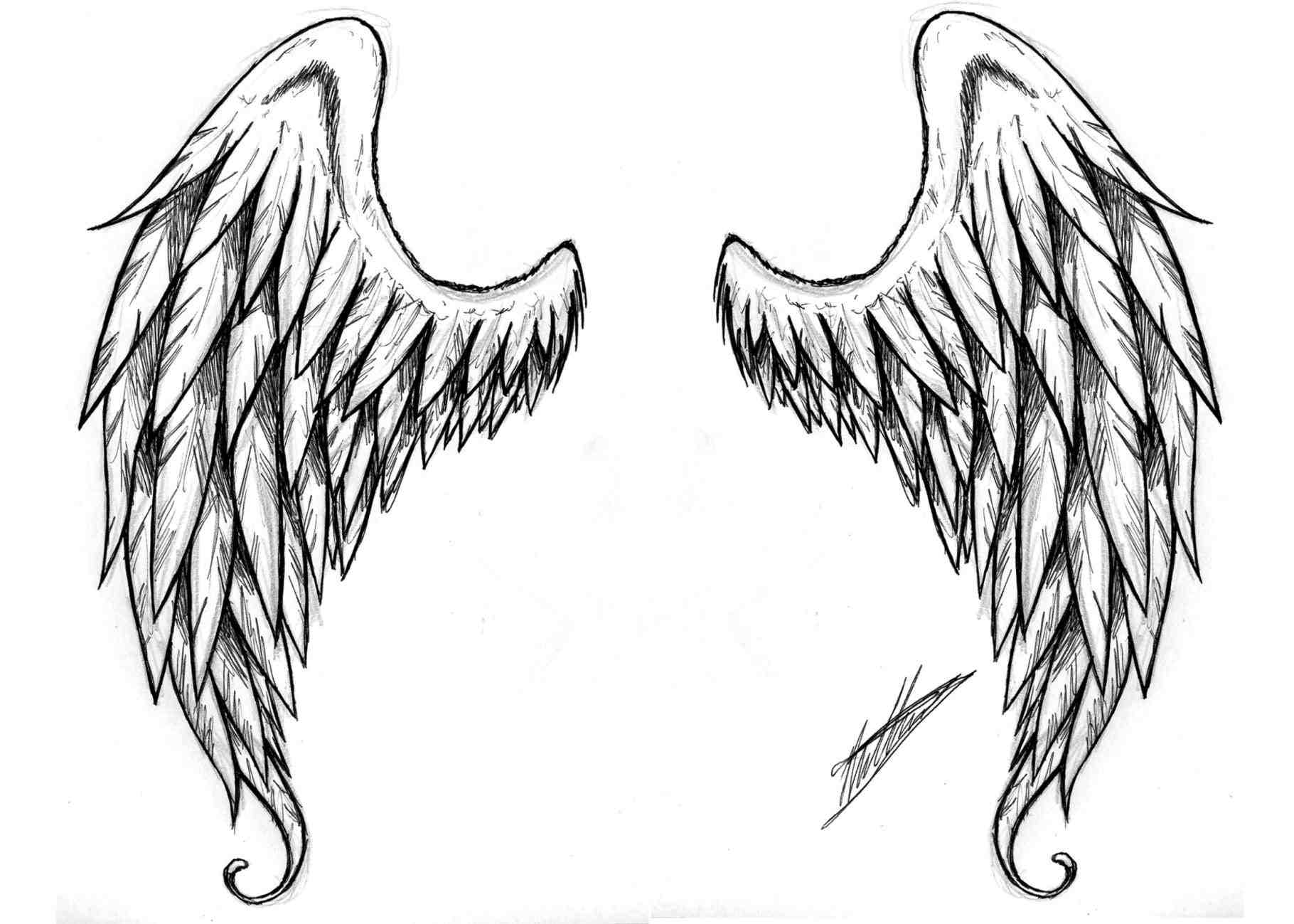 drawings of dark angel wings › copay.online