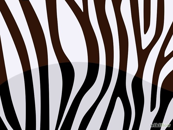 Printable Zebra Print Stencil