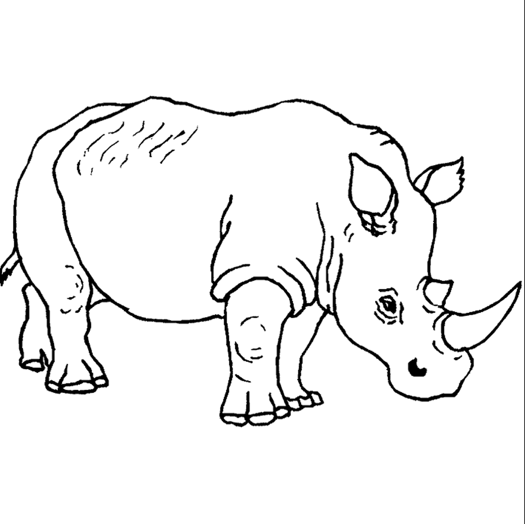 rhino pokemon Colouring Pages