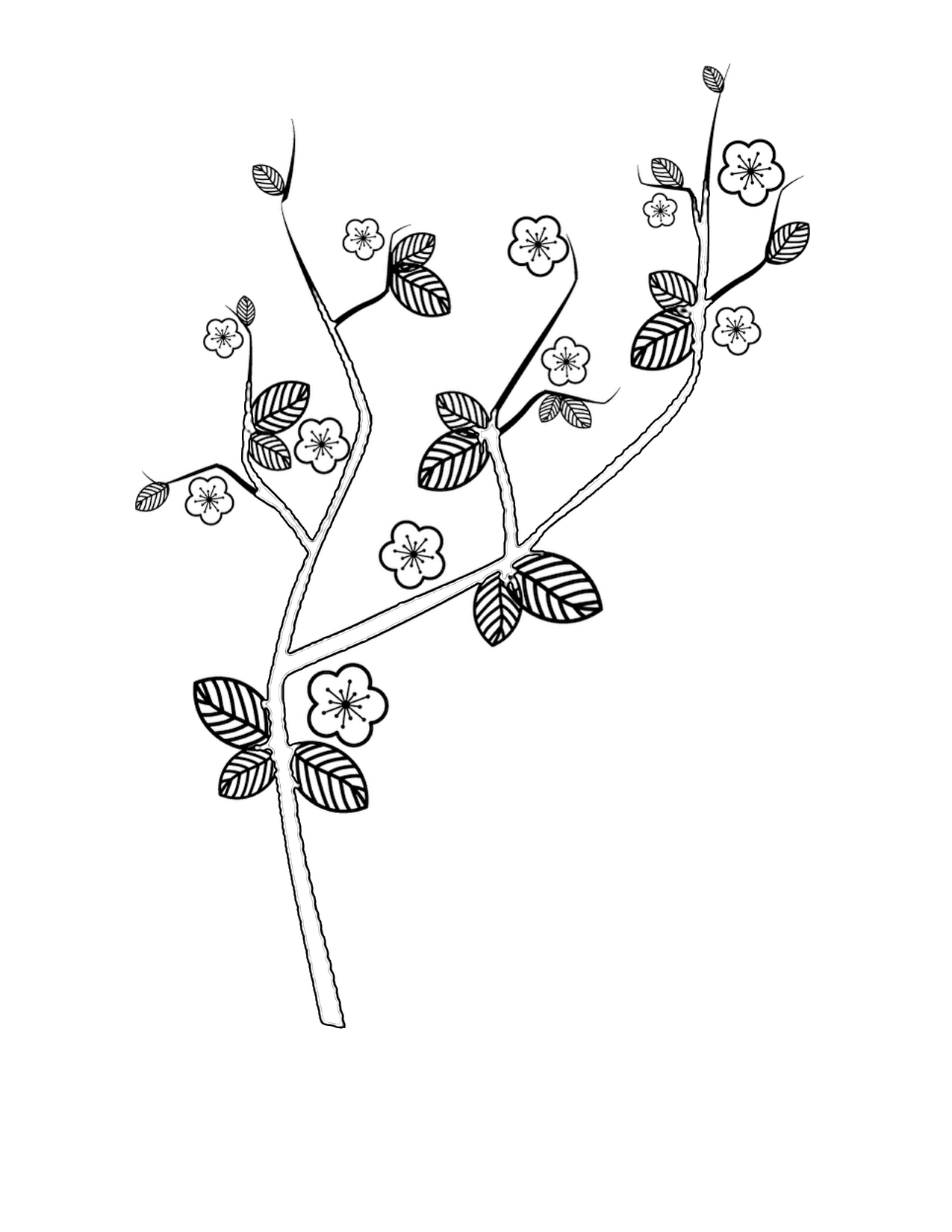 cherry branch Colouring Pages