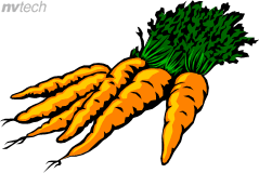 Carrots Clipart - Tumundografico