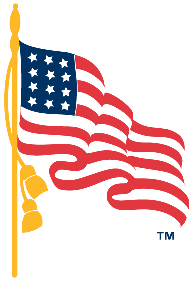 American Flag Logo_American Flag Cartoon_American Express Logo