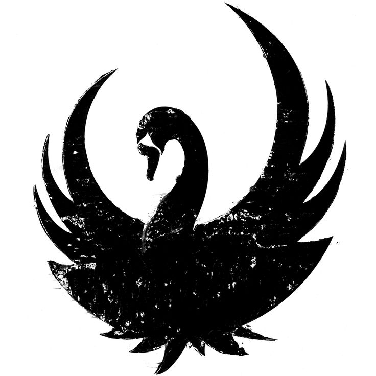 Black Swan Tattoo | Swan Tattoo ... - ClipArt Best - ClipArt Best