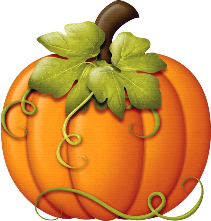 Pumpkin Vine Clipart ClipArt Best