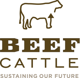 BeefCattle Basics of the Ruminant Digestive System | BeefCattle