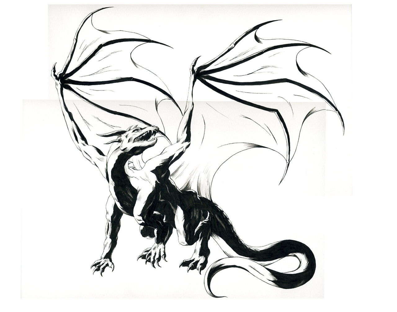 Black Dragon