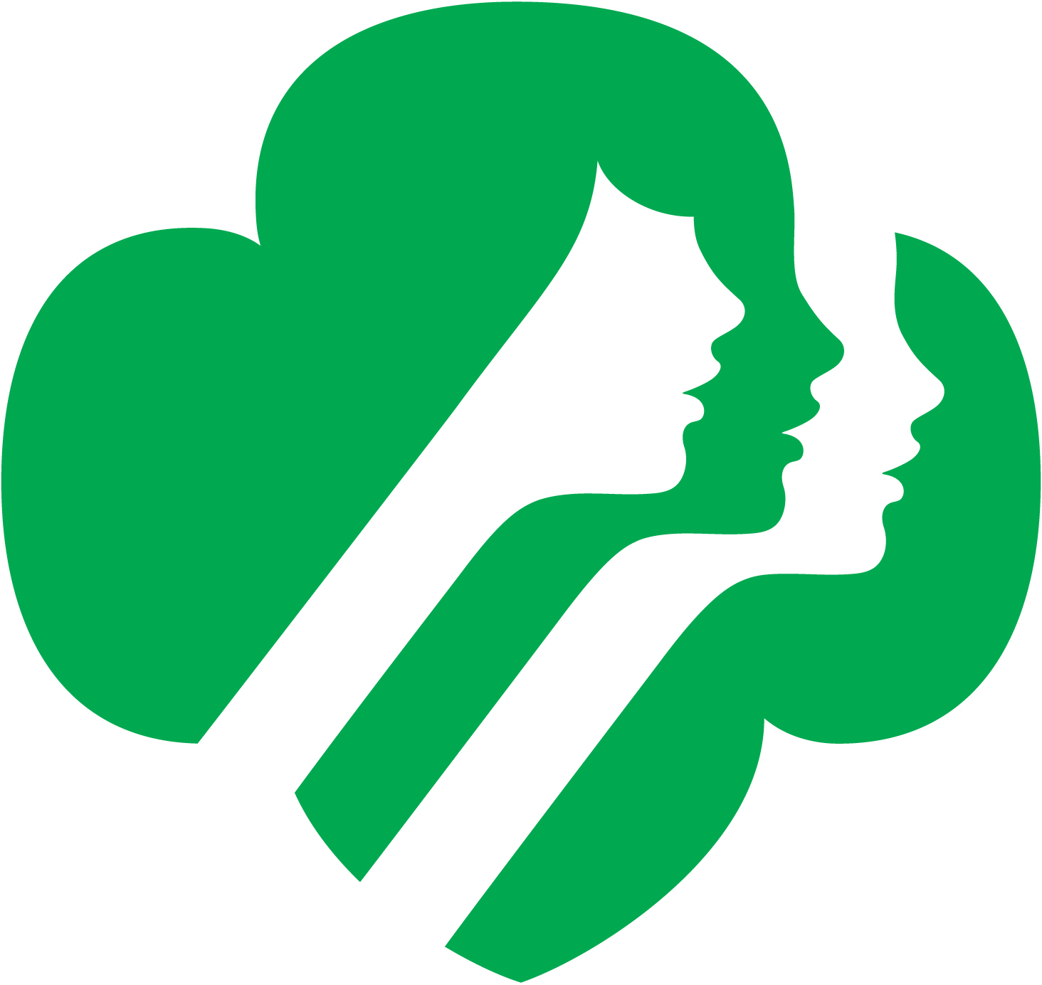 Girl Scouts of Southwest Indiana, Inc. | Volunteer Essentials ...