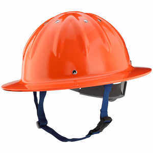 Search Results | Hard Hats | Forestry Suppliers, Inc.