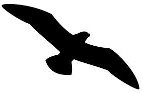 387 views Best Photos of Simple Bird Silhouette - Simple Bird Silhouette ...