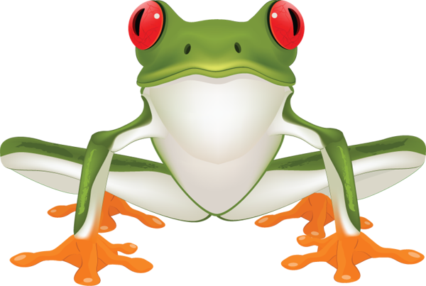 Tree frog clipart png