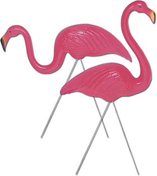 Cartoon Flamingo Images
