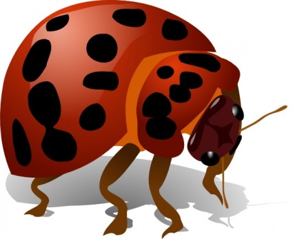 Lady Bug clip art Vector clip art - Free vector for free download