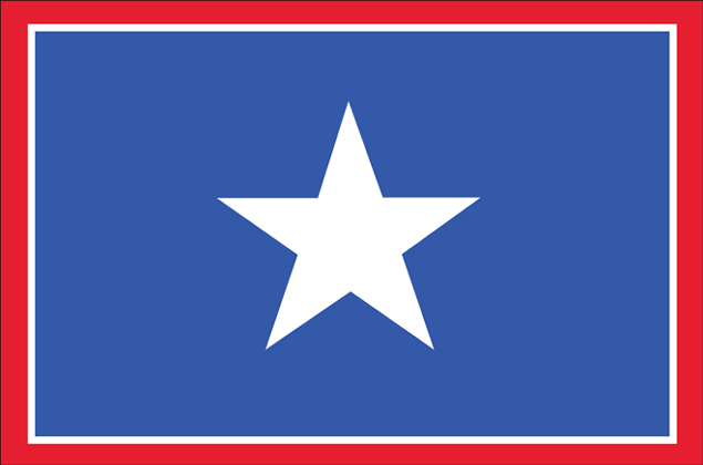 Should This Be The New Texas State Flag? | FrontBurner | D Magazine
