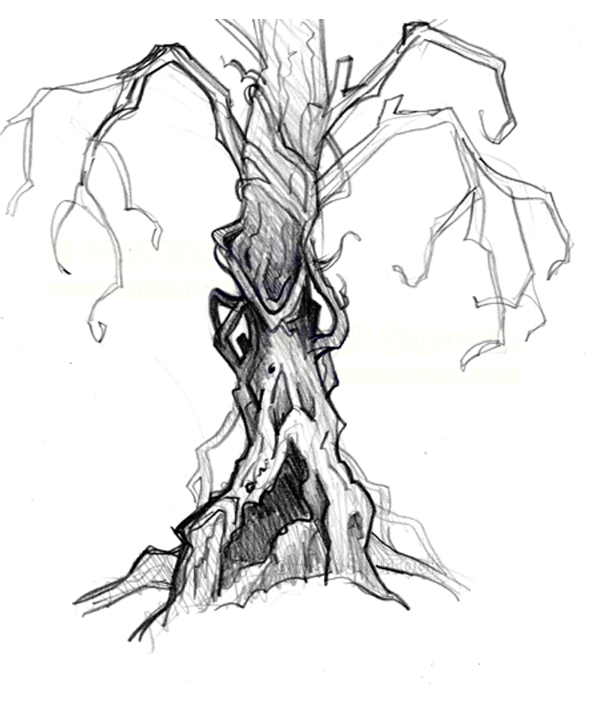 Scary Tree pencil drawing | WaltSturrock
