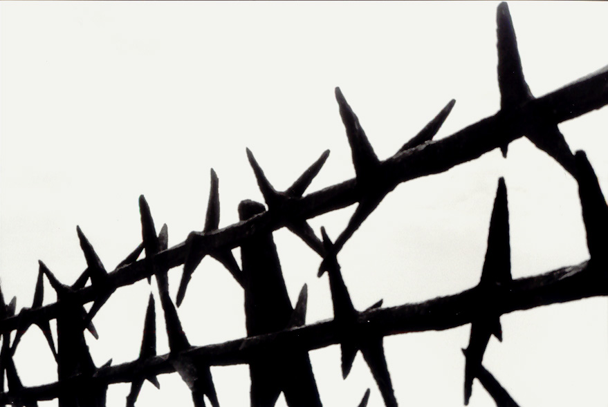 Mauthausen-Barbed wire memorial.jpg