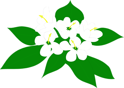 Free Stock Photos | Illustration Of White Flowers | # 8553 ...