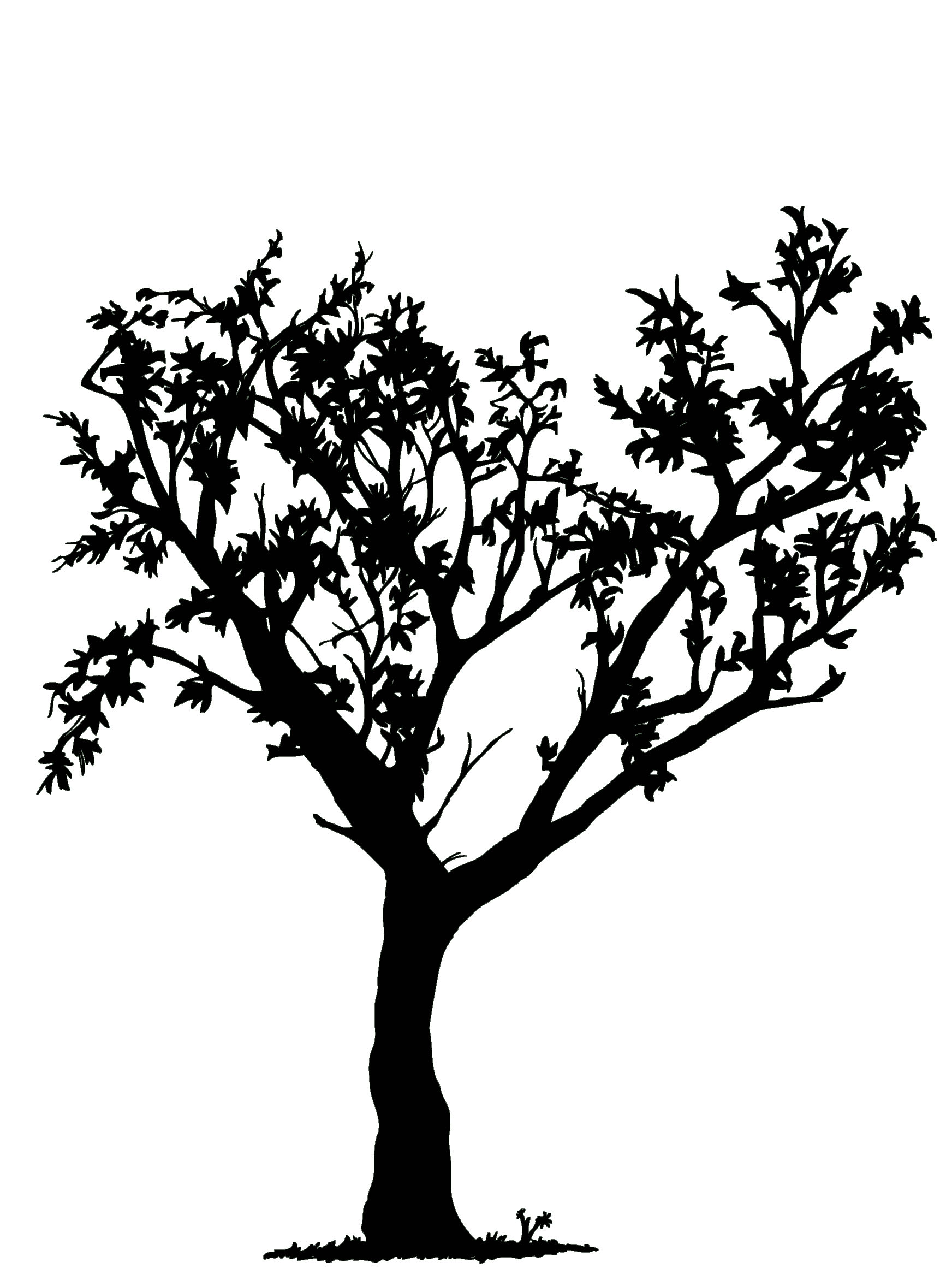 free black and white clipart of trees - photo #46