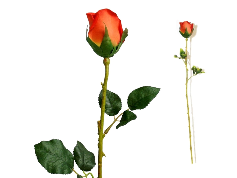 clipart long stem roses - photo #34