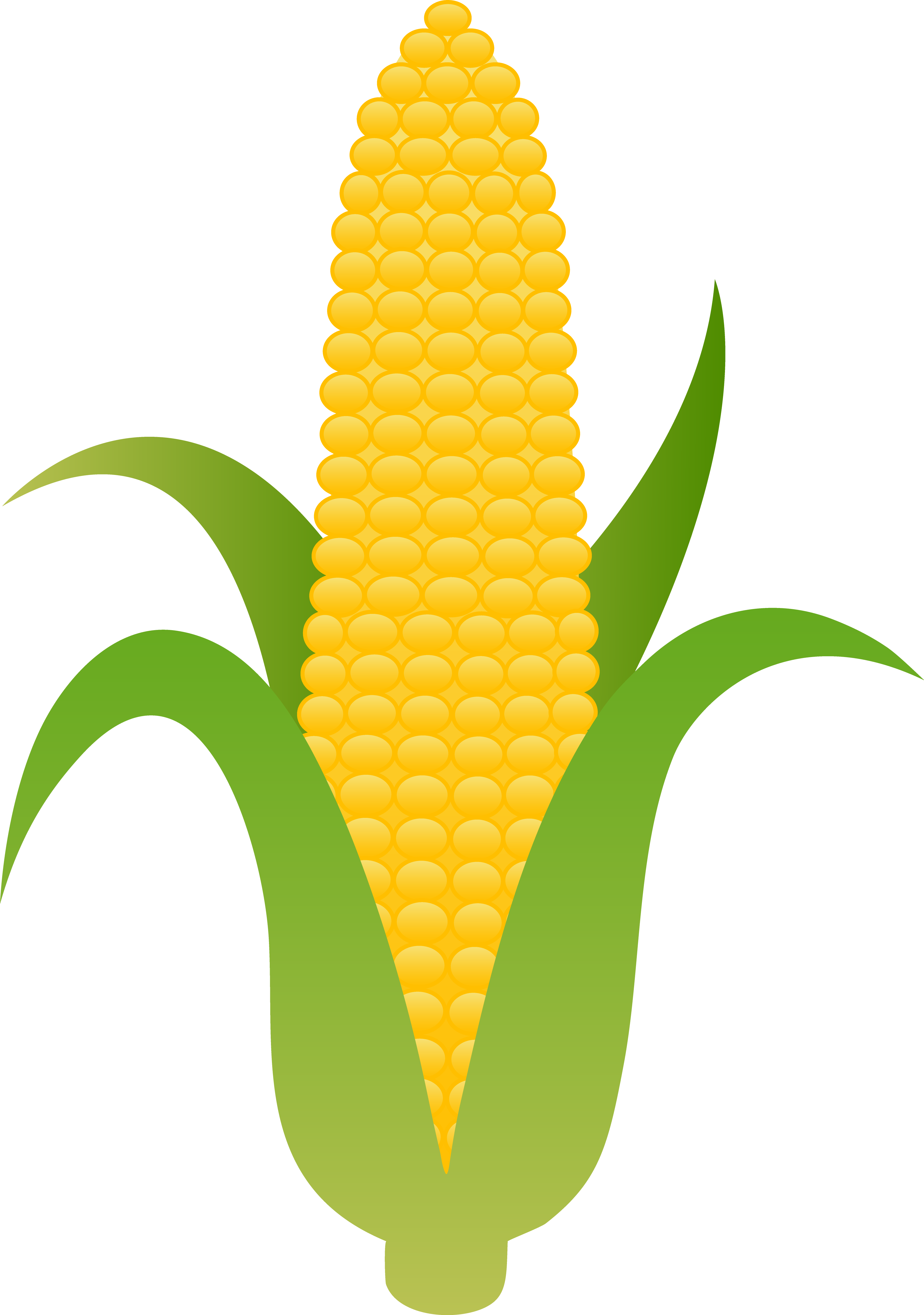 Clip art corn