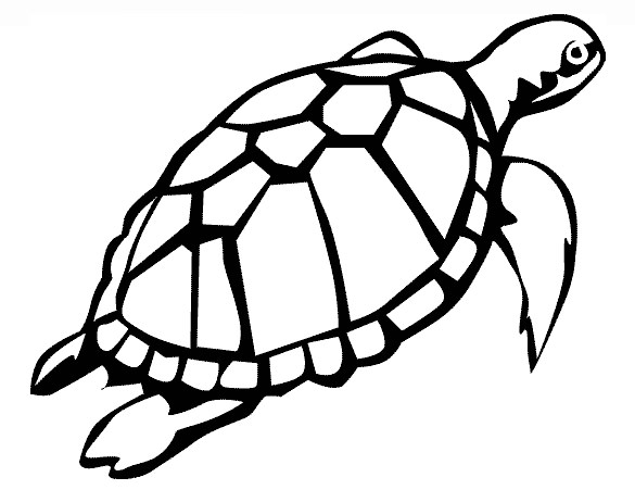 turtle outline clip art - photo #22