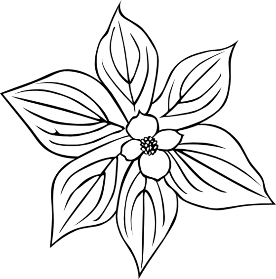 Snowdrop Flower Tattoo Clipart - Free to use Clip Art Resource