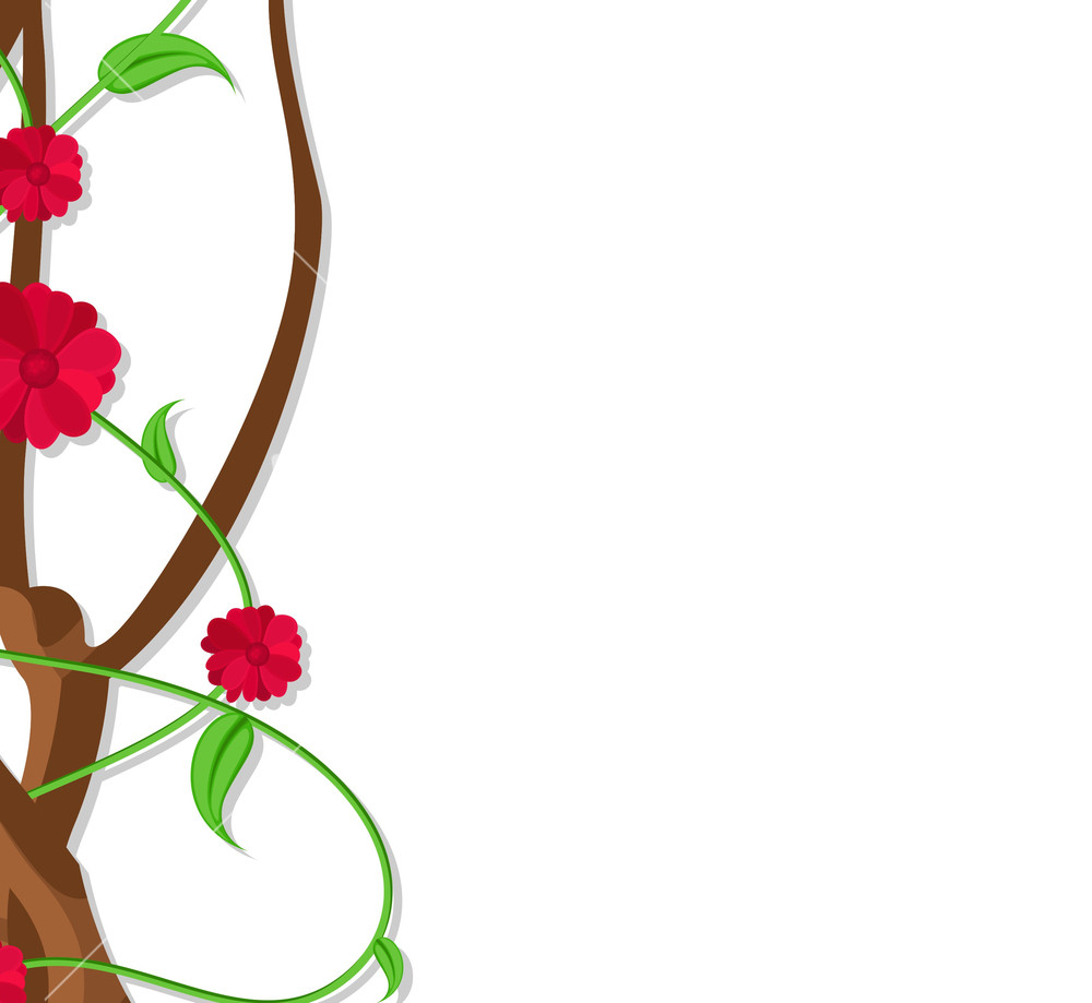 Flowers Branch Border Design Vector