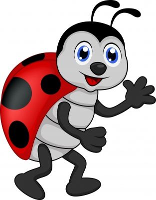 1000+ images about ladybug / joaninhas | Google ...