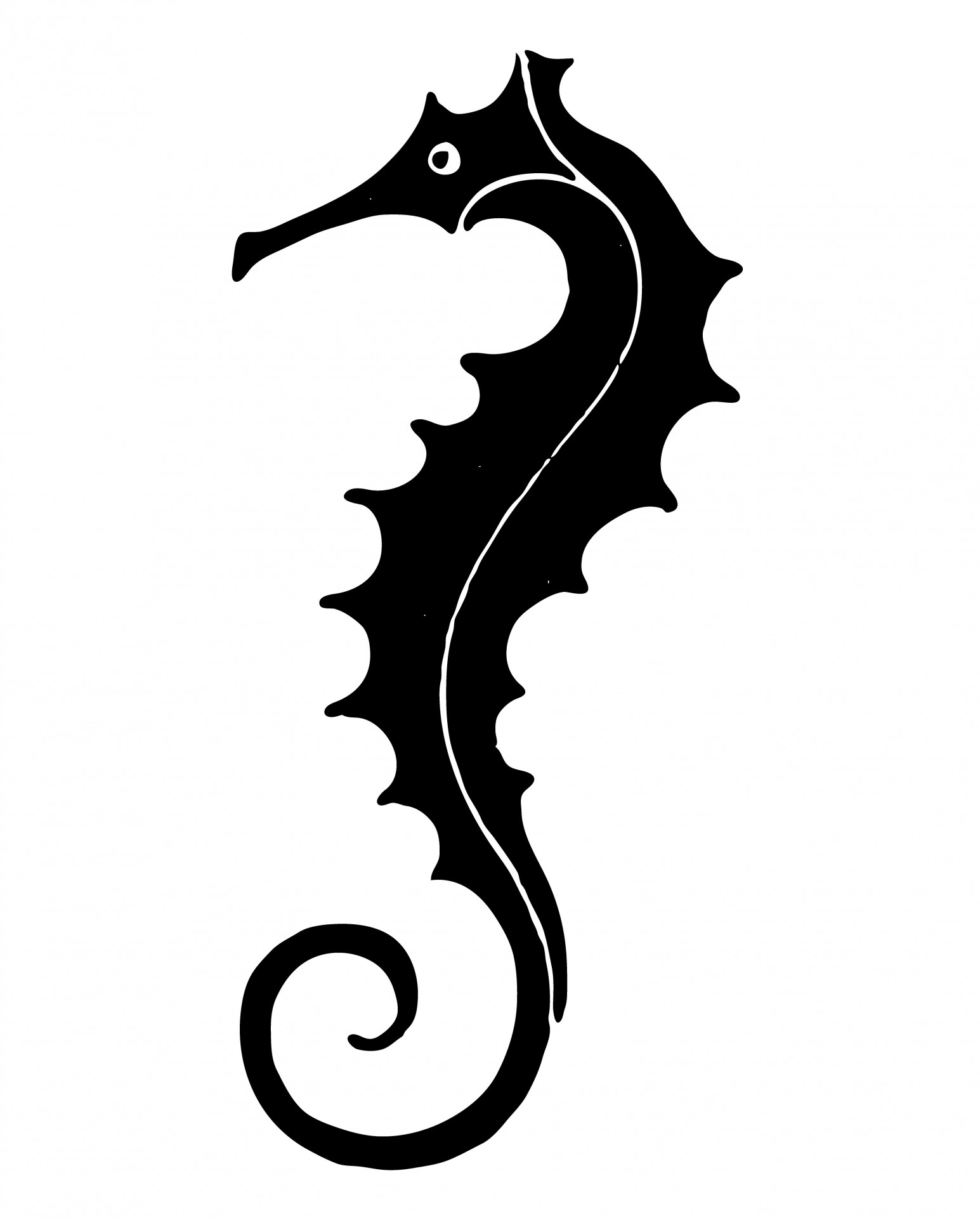 Seahorse Clipart Free Stock Photo - Public Domain Pictures
