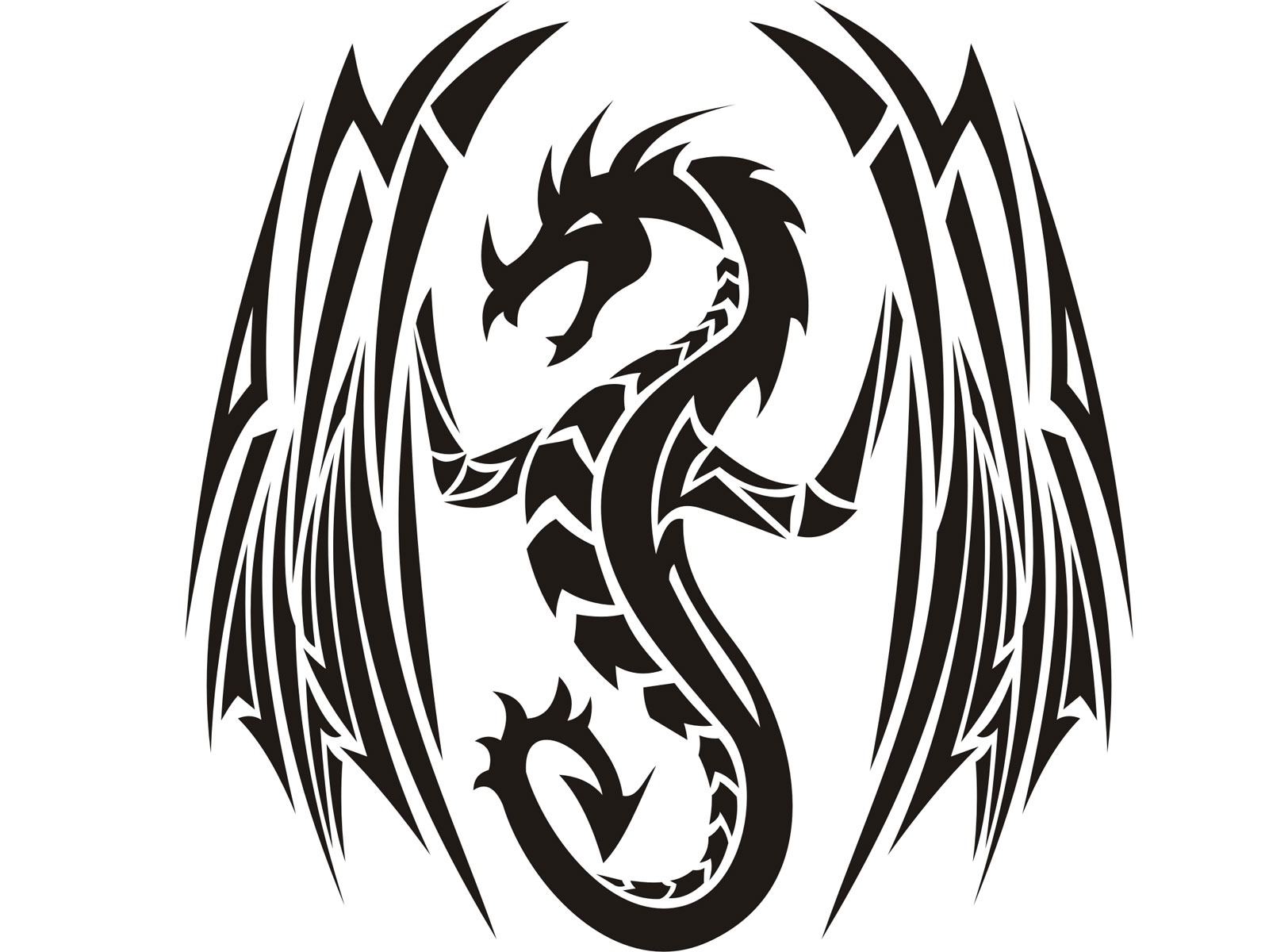 Simple Dragon Tattoo Designs - wide 10