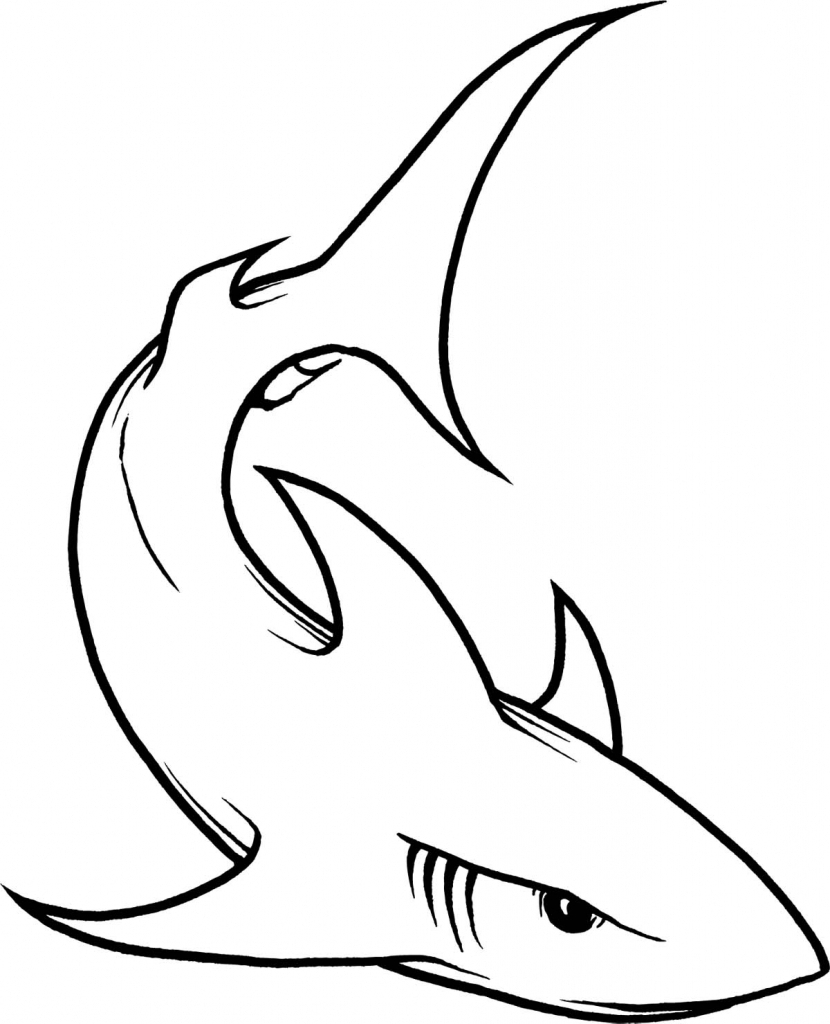 Simple Shark Drawing - Drawing Art Gallery