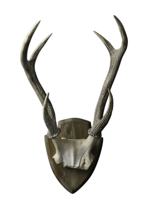 Silver Plated Resin Deer Antler Home Decoration - Buy Deer Antler ...