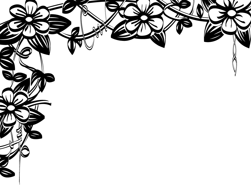 Hawaiian Clip Art Borders  ClipArt Best