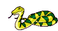 Snakes Graphics and Animated Gifs. Snakes
