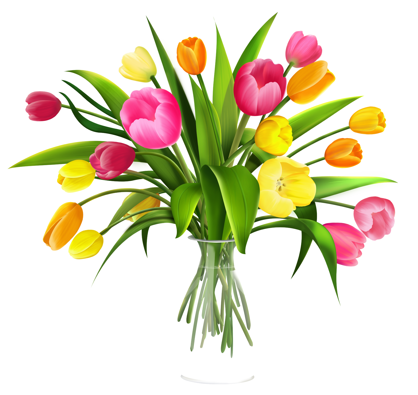 Flower Vases With Flowers Clipart | Free Download Clip Art | Free ...