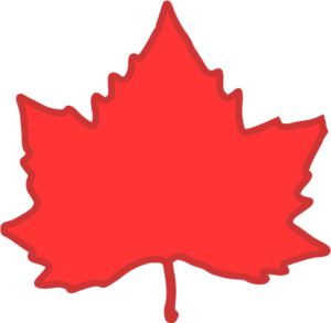 red maple leaf - vector Clip Art